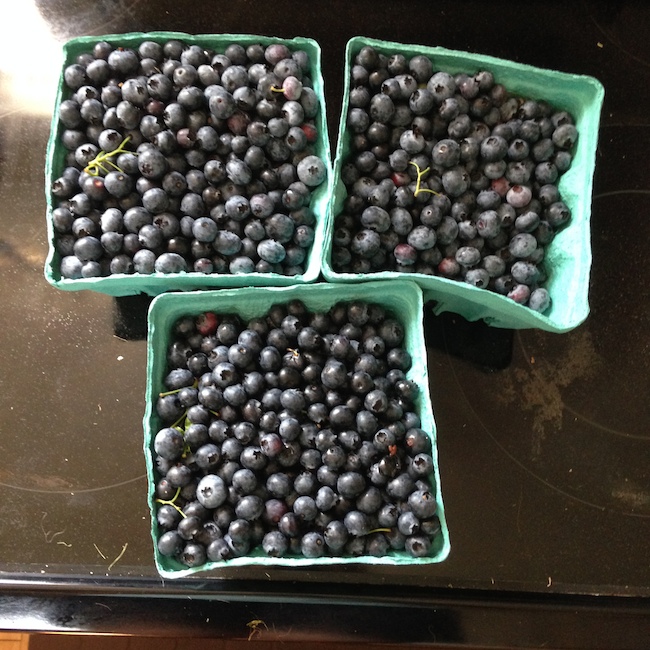 dame farm blueberries koskie
